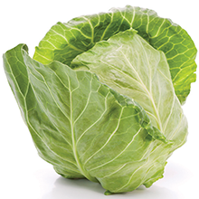 Cabbage