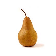 Pear